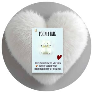 Pocket Hug knuffelbeer